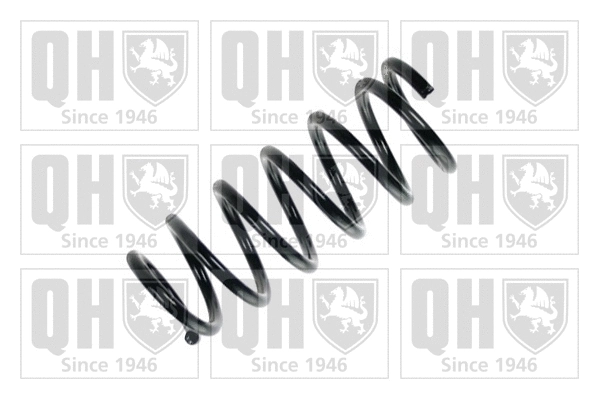 Suspension Spring (QCS6019)