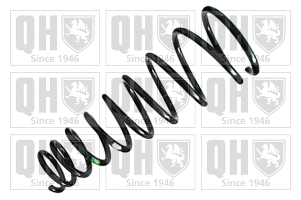 Suspension Spring (QCS7929)
