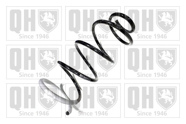 Suspension Spring (QCS8475)