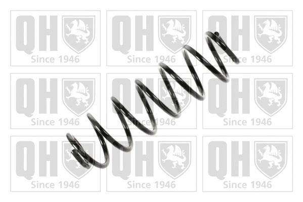 Suspension Spring (QCS5536)