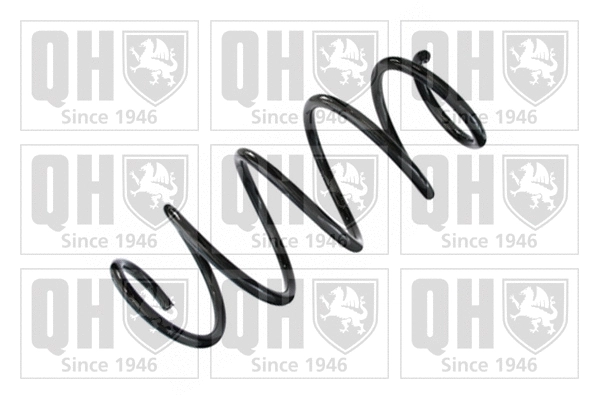 Suspension Spring (QCS6943)