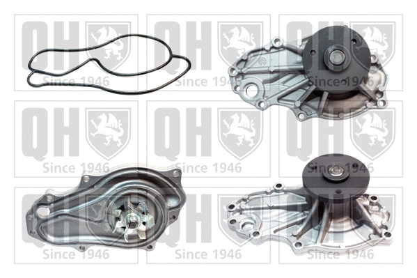 Water Pump, engine cooling (QCP3830)