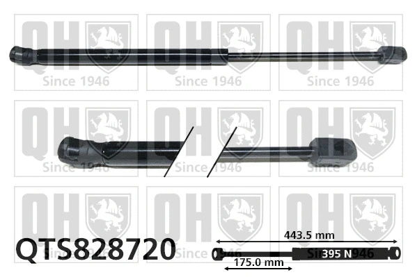 Gas Spring, boot/cargo area (QTS828720)