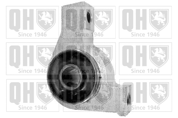 Mounting, control/trailing arm (EMS8244)