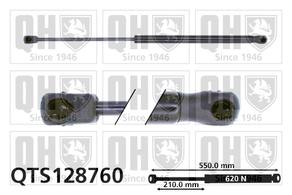Gas Spring, boot/cargo area (QTS128760)