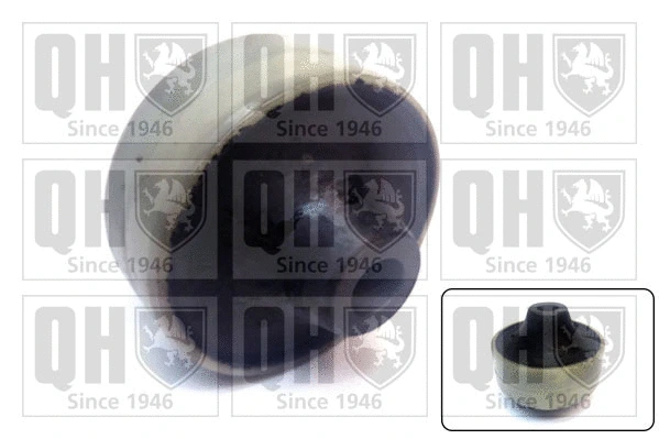 Mounting, control/trailing arm (EMS8713)