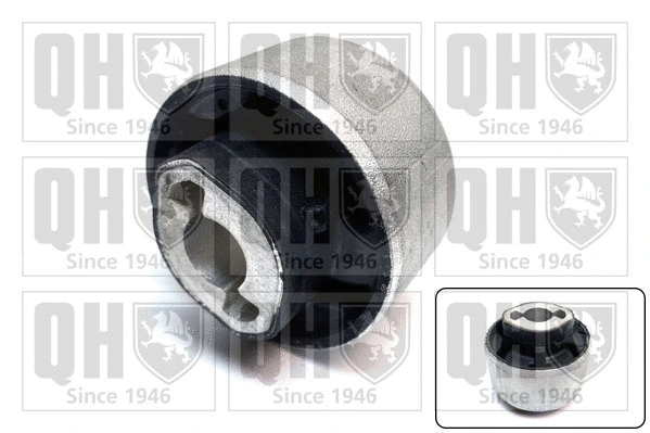 Mounting, control/trailing arm (EMS8796)