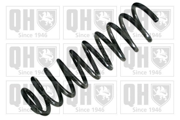 Suspension Spring (QCS5641)