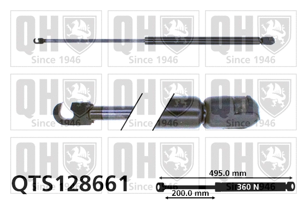 Gas Spring, boot/cargo area (QTS128661)