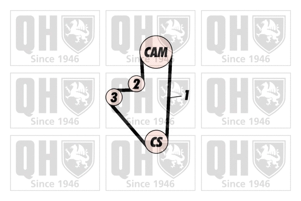 Timing Belt Kit (QBK104P)