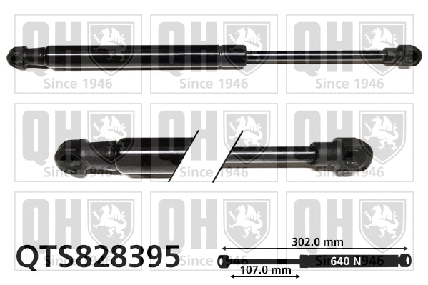 Gas Spring, boot/cargo area (QTS828395)
