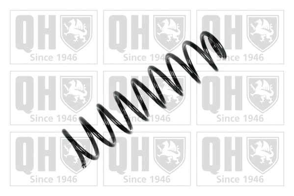 Suspension Spring (QCS7984)