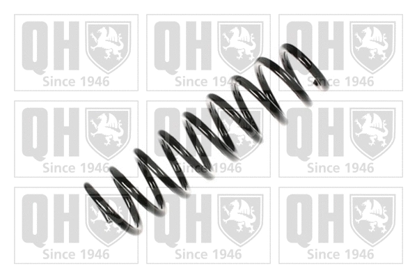 Suspension Spring (QCS6568)