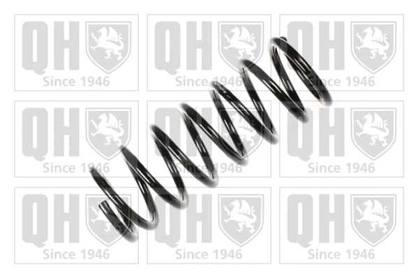 Suspension Spring (QCS6888)