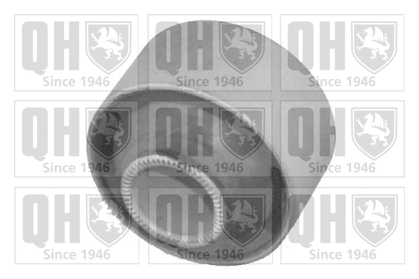 Mounting, control/trailing arm (EMS8160)