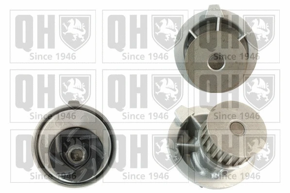 Water Pump, engine cooling (QCP2194)