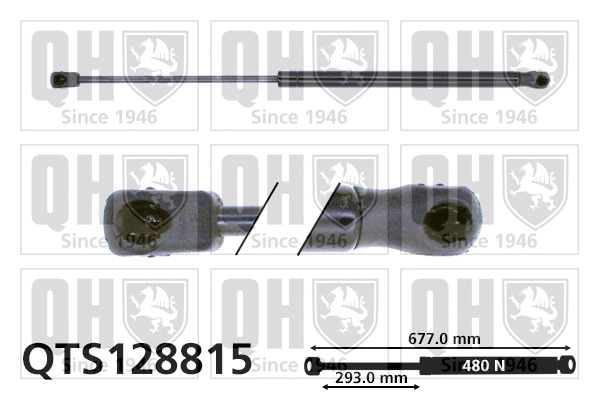 Gas Spring, boot/cargo area (QTS128815)