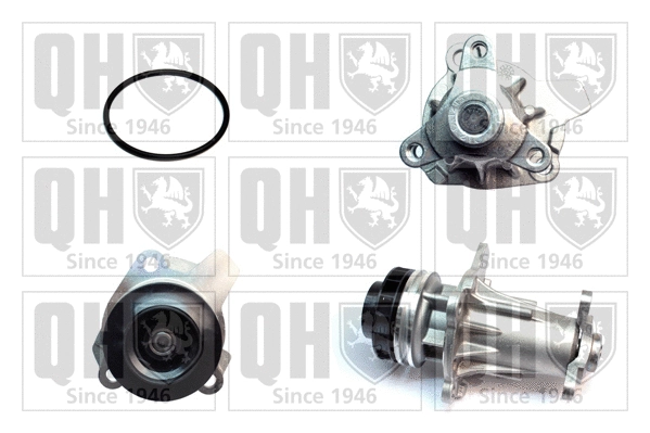 Water Pump, engine cooling (QCP3862)