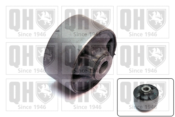 Mounting, control/trailing arm (EMS8542)