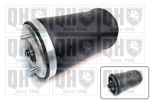 Air Spring, suspension (EMR4800)