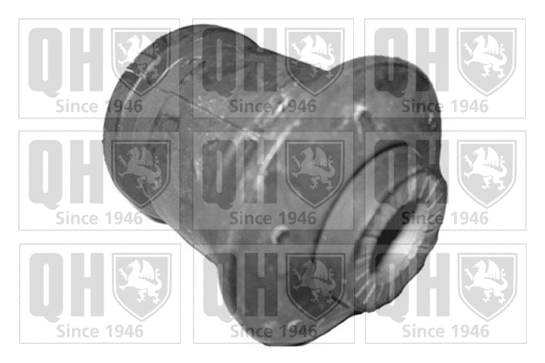 Mounting, control/trailing arm (EMS8259)