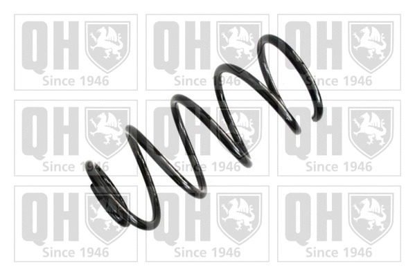 Suspension Spring (QCS6598)