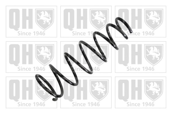 Suspension Spring (QCS5876)