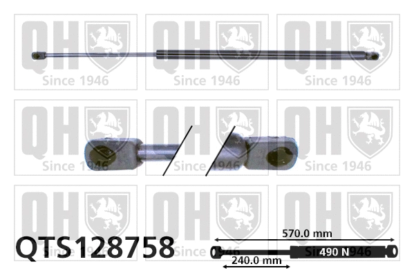 Gas Spring, boot/cargo area (QTS128758)