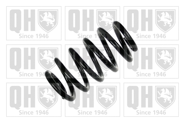 Suspension Spring (QCS7804)