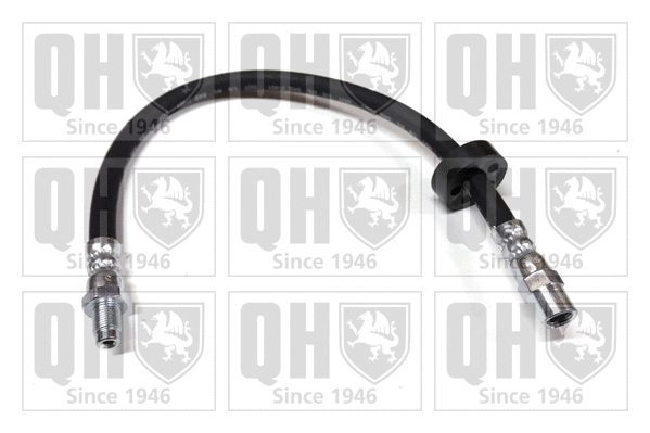 Brake Hose (BFH1008)