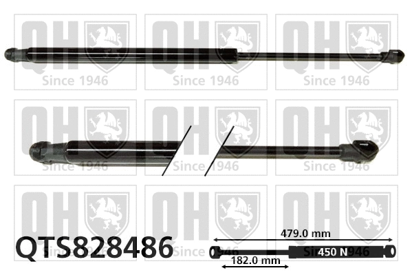 Gas Spring, boot/cargo area (QTS828486)