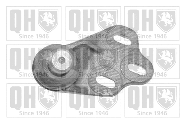 Ball Joint (QSJ1071S)