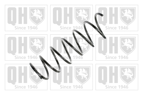 Suspension Spring (QCS7349)