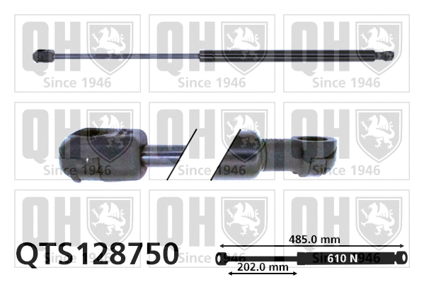 Gas Spring, boot/cargo area (QTS128750)