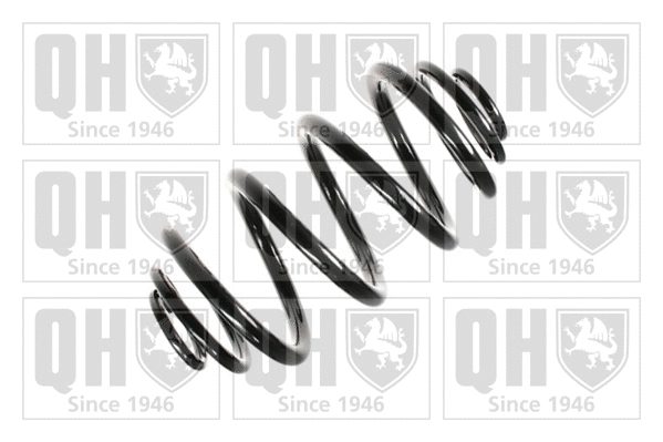 Suspension Spring (QCS6504)