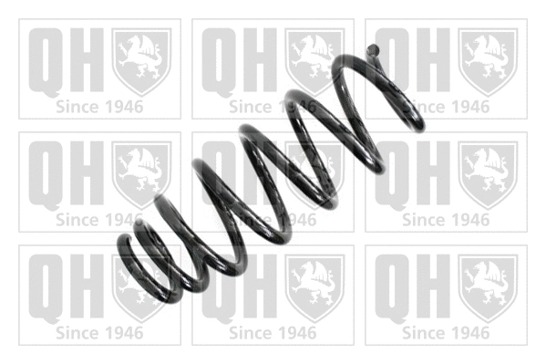 Suspension Spring (QCS5858)