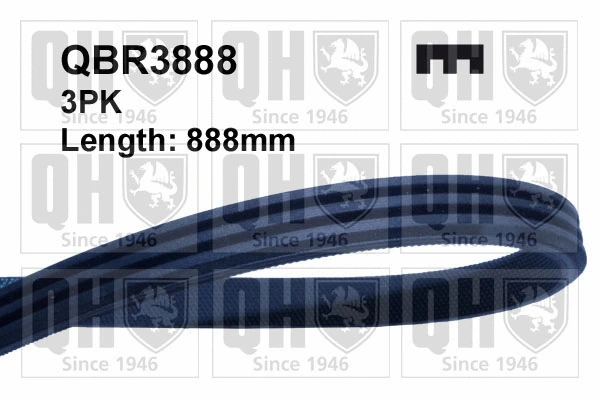 V-Ribbed Belt (QBR3888)