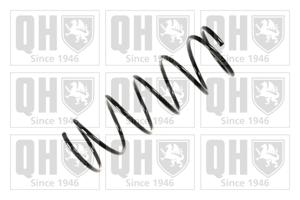 Suspension Spring (QCS5907)