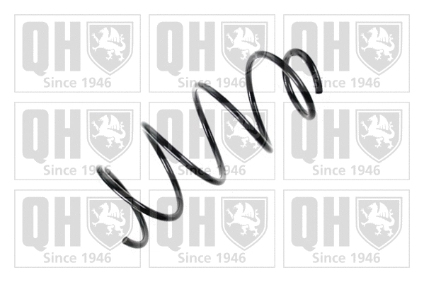 Suspension Spring (QCS6952)