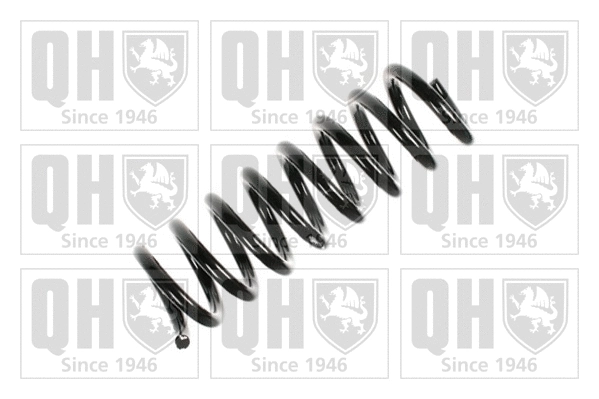 Suspension Spring (QCS5937)