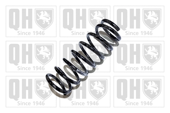 Suspension Spring (QCS7952)