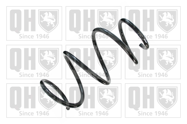 Suspension Spring (QCS8653)
