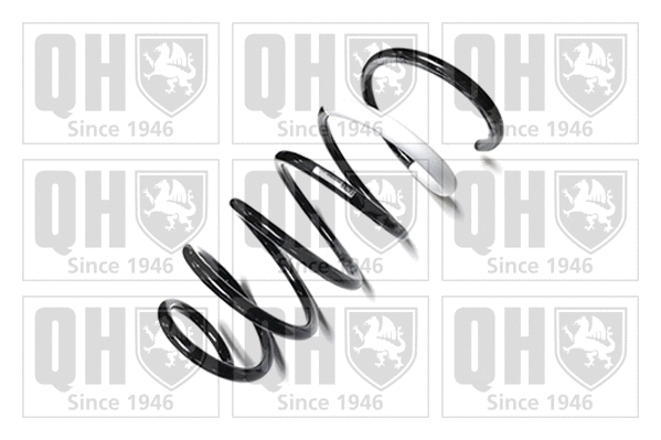 Suspension Spring (QCS7431)