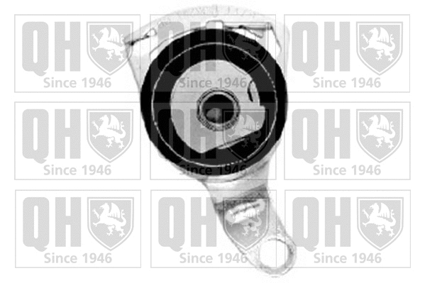 Tensioner Pulley, timing belt (QTT889)