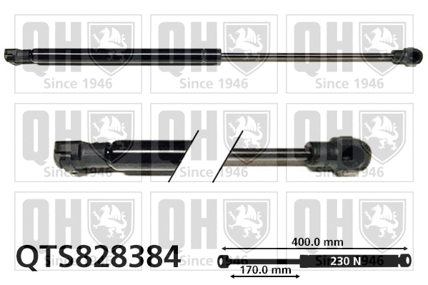 Gas Spring, bonnet (QTS828384)