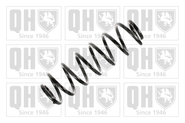 Suspension Spring (QCS5298)