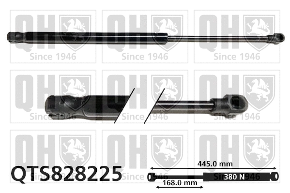 Gas Spring, boot/cargo area (QTS828225)