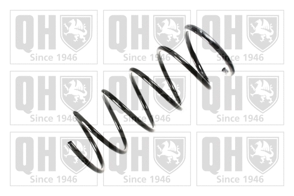 Suspension Spring (QCS7104)