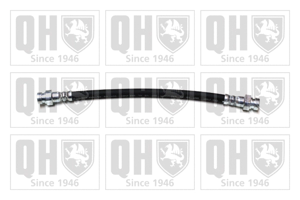 Brake Hose (BFH5534)
