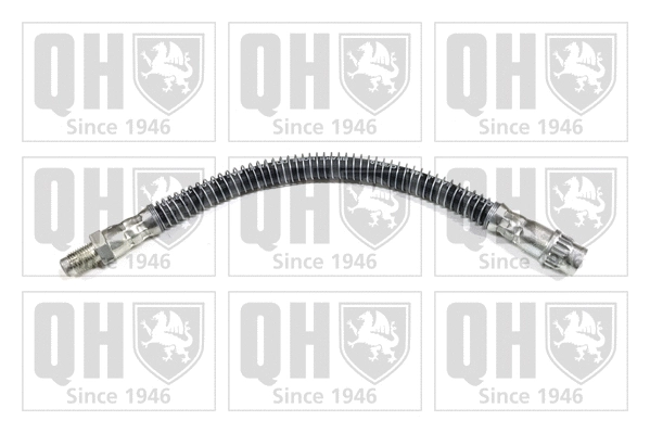 Brake Hose (BFH4737)